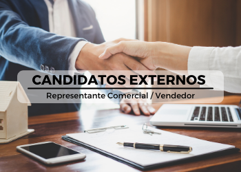 Representante/Vendedor (Engenharia)